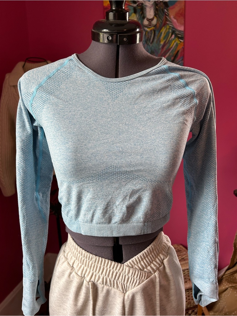 Light Blue Long-Sleeve Seamless Crop Top